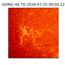 gong - 2026-07-25T09:00:22