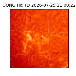 gong - 2026-07-25T11:00:22