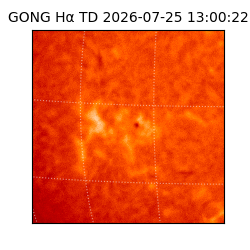 gong - 2026-07-25T13:00:22