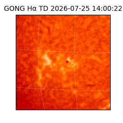 gong - 2026-07-25T14:00:22