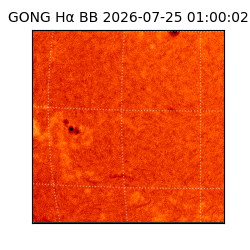gong - 2026-07-25T01:00:02