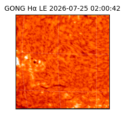 gong - 2026-07-25T02:00:42