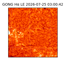 gong - 2026-07-25T03:00:42