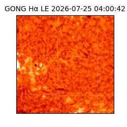 gong - 2026-07-25T04:00:42