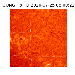 gong - 2026-07-25T08:00:22