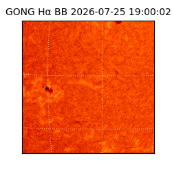 gong - 2026-07-25T19:00:02