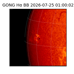 gong - 2026-07-25T01:00:02