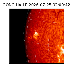 gong - 2026-07-25T02:00:42
