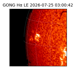 gong - 2026-07-25T03:00:42