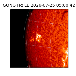 gong - 2026-07-25T05:00:42