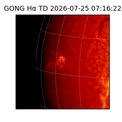 gong - 2026-07-25T07:16:22