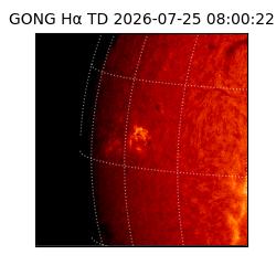 gong - 2026-07-25T08:00:22