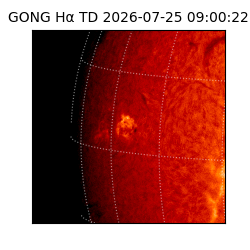 gong - 2026-07-25T09:00:22