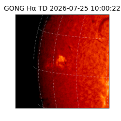 gong - 2026-07-25T10:00:22