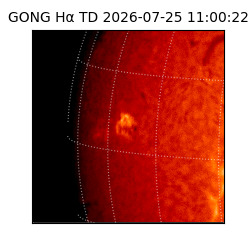 gong - 2026-07-25T11:00:22