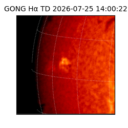 gong - 2026-07-25T14:00:22
