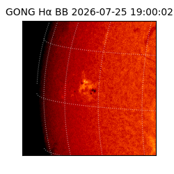 gong - 2026-07-25T19:00:02