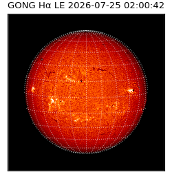 gong - 2026-07-25T02:00:42