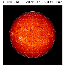 gong - 2026-07-25T03:00:42