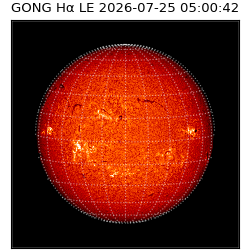 gong - 2026-07-25T05:00:42