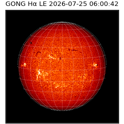 gong - 2026-07-25T06:00:42