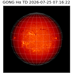 gong - 2026-07-25T07:16:22