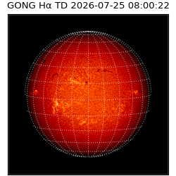 gong - 2026-07-25T08:00:22