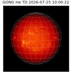 gong - 2026-07-25T10:00:22