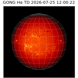 gong - 2026-07-25T12:00:22