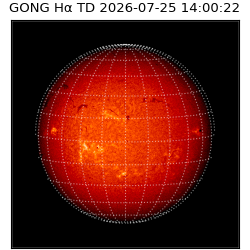 gong - 2026-07-25T14:00:22