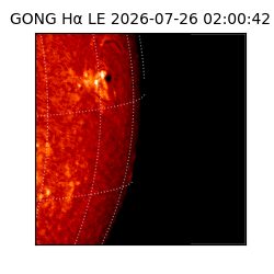 gong - 2026-07-26T02:00:42