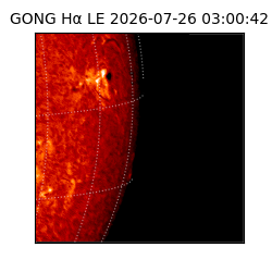 gong - 2026-07-26T03:00:42