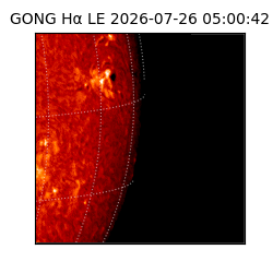 gong - 2026-07-26T05:00:42