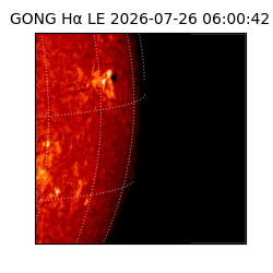 gong - 2026-07-26T06:00:42