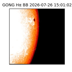 gong - 2026-07-26T15:01:02