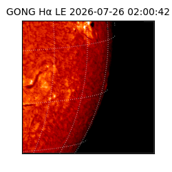 gong - 2026-07-26T02:00:42