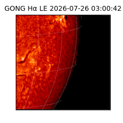 gong - 2026-07-26T03:00:42