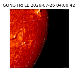 gong - 2026-07-26T04:00:42