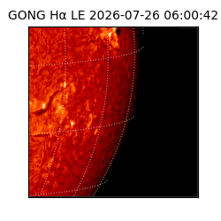 gong - 2026-07-26T06:00:42
