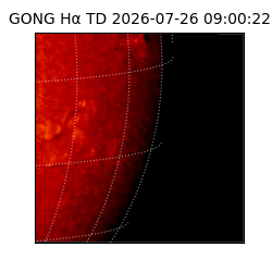 gong - 2026-07-26T09:00:22