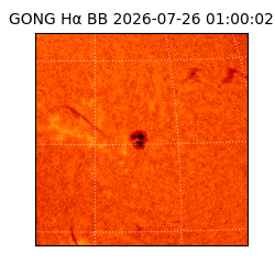 gong - 2026-07-26T01:00:02