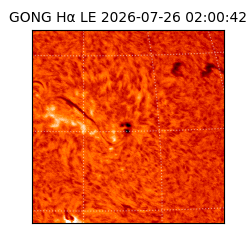 gong - 2026-07-26T02:00:42