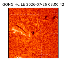 gong - 2026-07-26T03:00:42