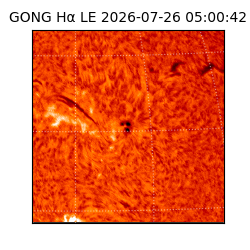 gong - 2026-07-26T05:00:42