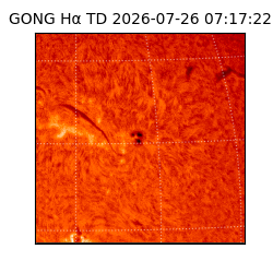 gong - 2026-07-26T07:17:22