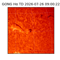 gong - 2026-07-26T09:00:22