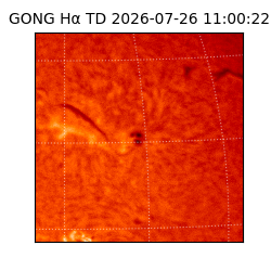 gong - 2026-07-26T11:00:22