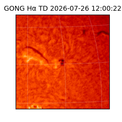 gong - 2026-07-26T12:00:22