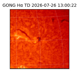 gong - 2026-07-26T13:00:22
