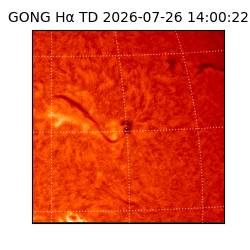 gong - 2026-07-26T14:00:22